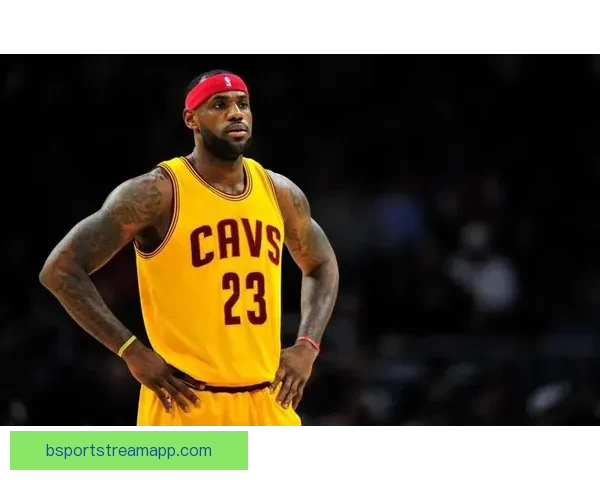 B体育最新地址最新更新与特色功能介绍全方位解读